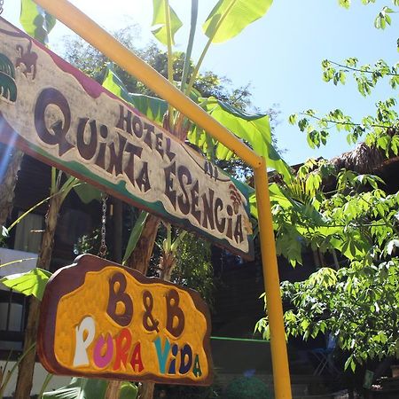 Quinta Esencia Bed & Breakfast Brasilito Eksteriør bilde