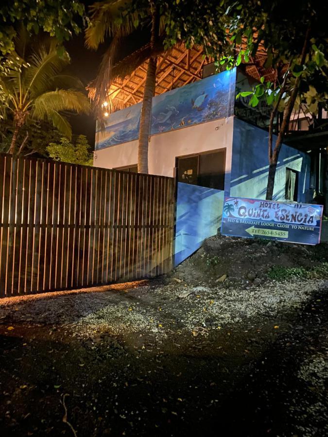 Quinta Esencia Bed & Breakfast Brasilito Eksteriør bilde