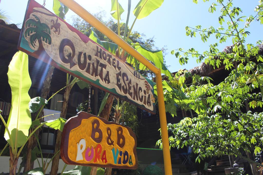 Quinta Esencia Bed & Breakfast Brasilito Eksteriør bilde
